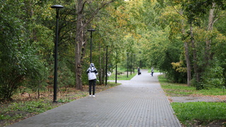 Парк имени Ленина в Барнауле / Фото: amic.ru 