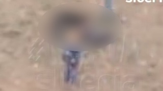 Нападение собаки на ребенка / Кадр из видео: Mash Siberia