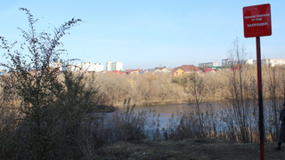 Фото: barnaul.org                