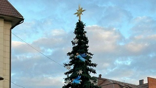 Новогодняя елка в Горно-Алтайске / Фото: t.me/gornoaltayskinfo