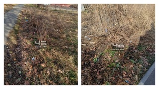 Мусор вдоль пешеходной зоны / Фото: "Черное и Белое  Барнаул"