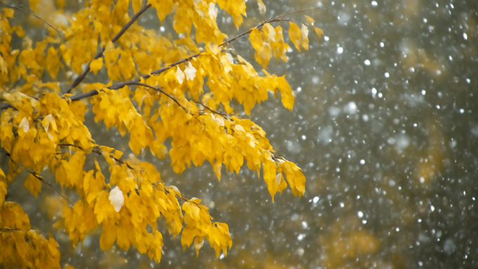 Изображение сгенерировано нейросетью DALL-E