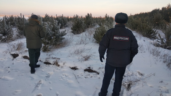 Фото: Минприроды Алтайского края               