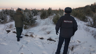 Фото: Минприроды Алтайского края               