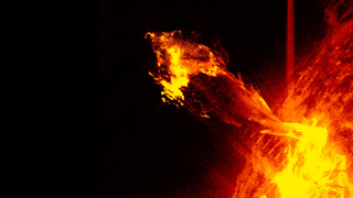 Вспышка на Солнце 4 ноября / Фото: Лаборатория солнечной астрономии ИКИ и ИСЗФ