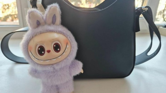 Игрушка Лабубу (Labubu) / Фото: asfera.info