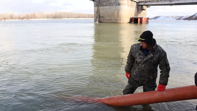 Зарыбление Оби / Фото: Лилия Болатаева