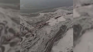 Загрязнение реки / Кадр из видео: "Бийск 22"