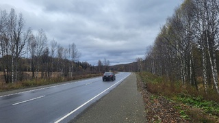Федеральная трасса в Алтайском крае / Фото: Упрдор "Алтай"