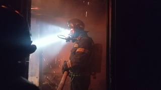 Пожар в барнаульском поселке Бельмесево / Фото: ГУ МЧС Алтайского края