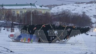 Упавшая новогодняя елка / Фото: t.me/bazabazon