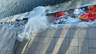 Фото: прокуратура Москвы         