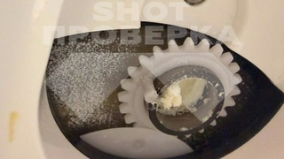 Плесень внутри машинки / Фото: "Shot Проверка"