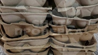 Лотки для куриных яиц / Фото:  "Shot Проверка"