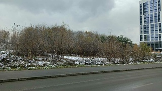 Участок для строительства ЖК на ул. П. Корчагина, 2а / Фото: torgi.gov.ru