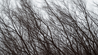 Изображение сгенерировано нейросетью DALL-E