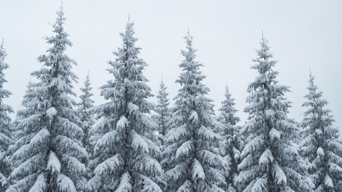 Изображение сгенерировано нейросетью DALL-E