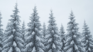 Изображение сгенерировано нейросетью DALL-E