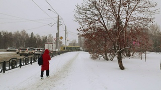 Снежный ноябрь в Барнауле / Фото: amic.ru