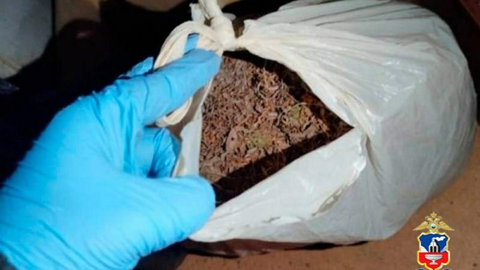 Изъятая партия наркотиков / Фото: МВД Алтайского края