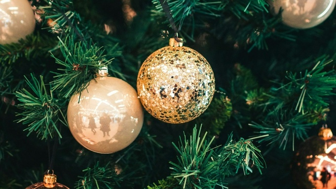 Новогодняя елка / Фото: Hert Niks / unsplash.com