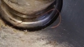 В барнаульской гимназии нашли червя в питьевом фонтанчике / Фото: "Южный Барнаул"