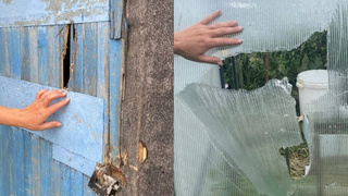 Погром на даче / Фото: "КП-Новосибирск"