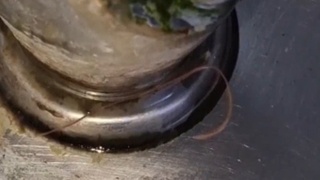 Червь в школьном фонтанчике / Фото: кадр из видео "Южный Барнаул"