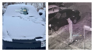 Хулиган и разбитое авто / Фото: "В курсе 22"