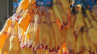 Курица-пищалка / Фото: Shutterstock/FOTODOM