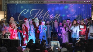 Новогоднее представление в Барнауле / Фото: amic.ru