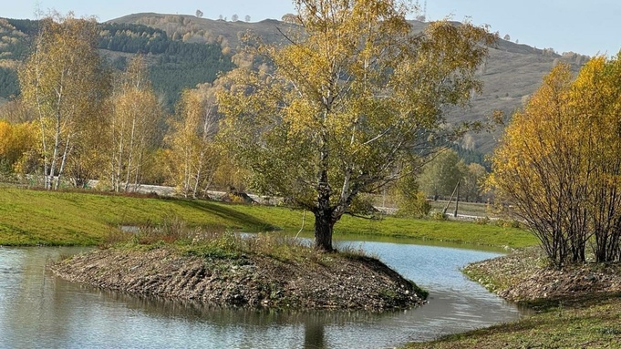 Участок на Чарыше / Фото предоставлено Вячеславом Немцовым