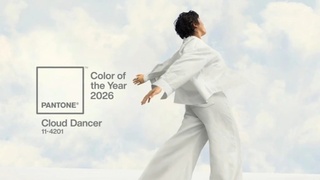 PANTONE 11-4201 / Фото: скриншот сайта pantone.com