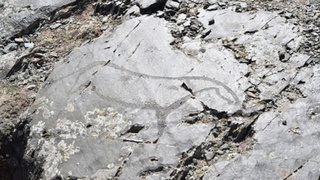 Наскальные символы / Фото: издание СО РАН "Наука в Сибири"