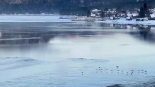 Телецкое озеро / Кадр из видео: правительство Республики Алтай