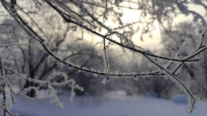 Зима. Мороз. Иней / Фото: amic.ru