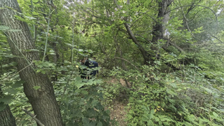 Жительница Алтая убила малолетнюю дочь и выбросила в лесу / Фото: алтайский СК