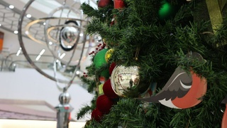 Новогодняя елка в торговом центре / Фото: amic.ru