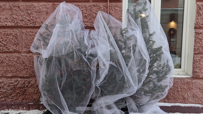 Новогодний Барнаул &ndash; 2025 / Фото: amic.ru