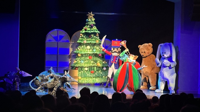 Спектакль "Щелкунчик" / Фото: amic.ru / Мария Власова