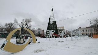 Новогодняя елка на площади Свободы / Фото: amic.ru