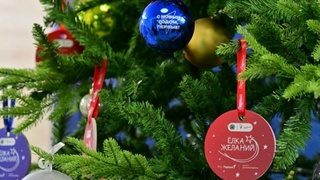 "Елка желаний" в Алтайском крае / Фото: t.me/tomenko_22