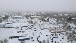 Барнаул с высоты 57-метрового колеса обозрения / Фото: amic.ru / Екатерина Смолихина 