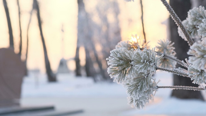 Зима. Мороз / Фото: amic.ru      