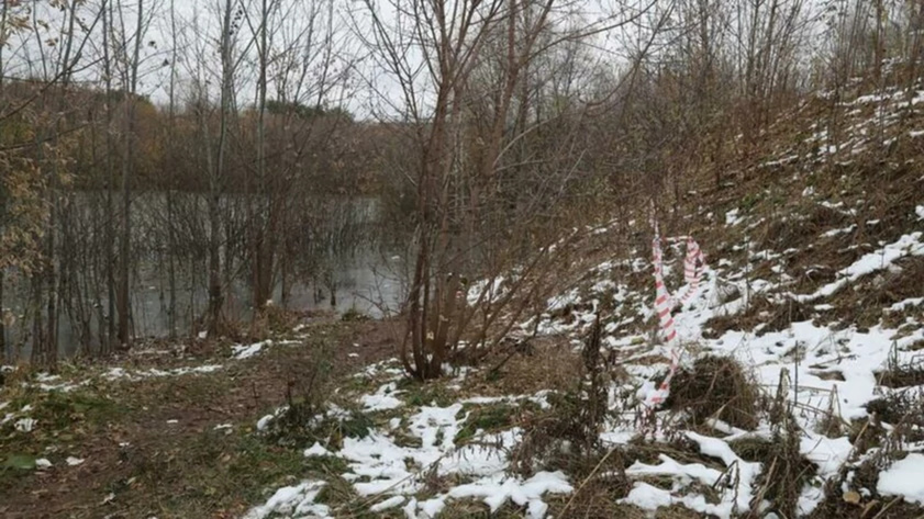 Пруд в Барнауле, где нашли убитого младенца / Фото: amic.ru / Екатерина Смолихина