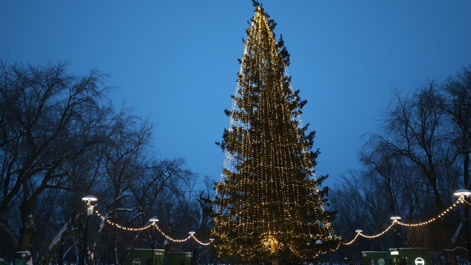 Новогодняя елка в парке "Изумрудный" / Фото: Екатерина Смолихина / amic.ru