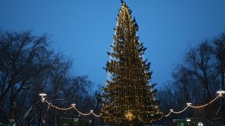 Новогодняя елка в парке "Изумрудный" / Фото: Екатерина Смолихина / amic.ru