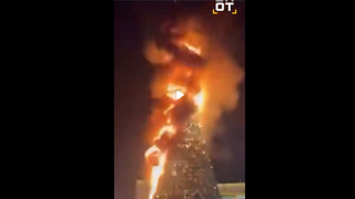 Сгоревшая елка / Фото: Telegram-канал Shot