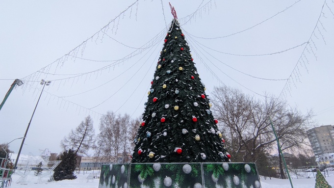 Елка в парке спорта Смертина / Фото: amic.ru