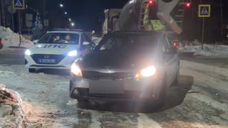 Скриншот видео /Госавтоинспекции Алтайского края